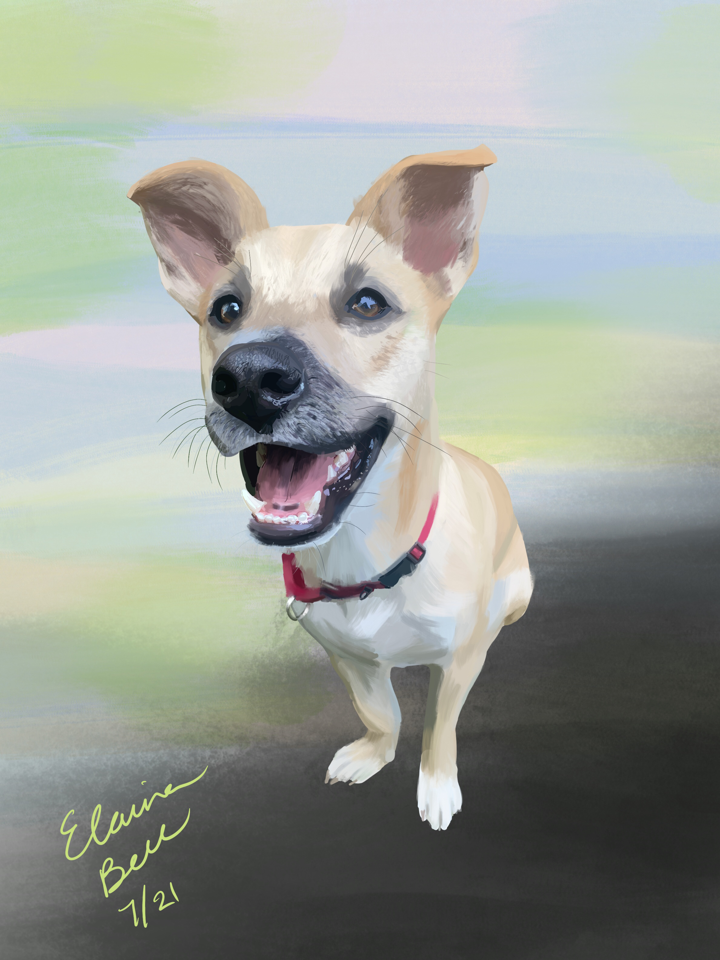Custom Portrait