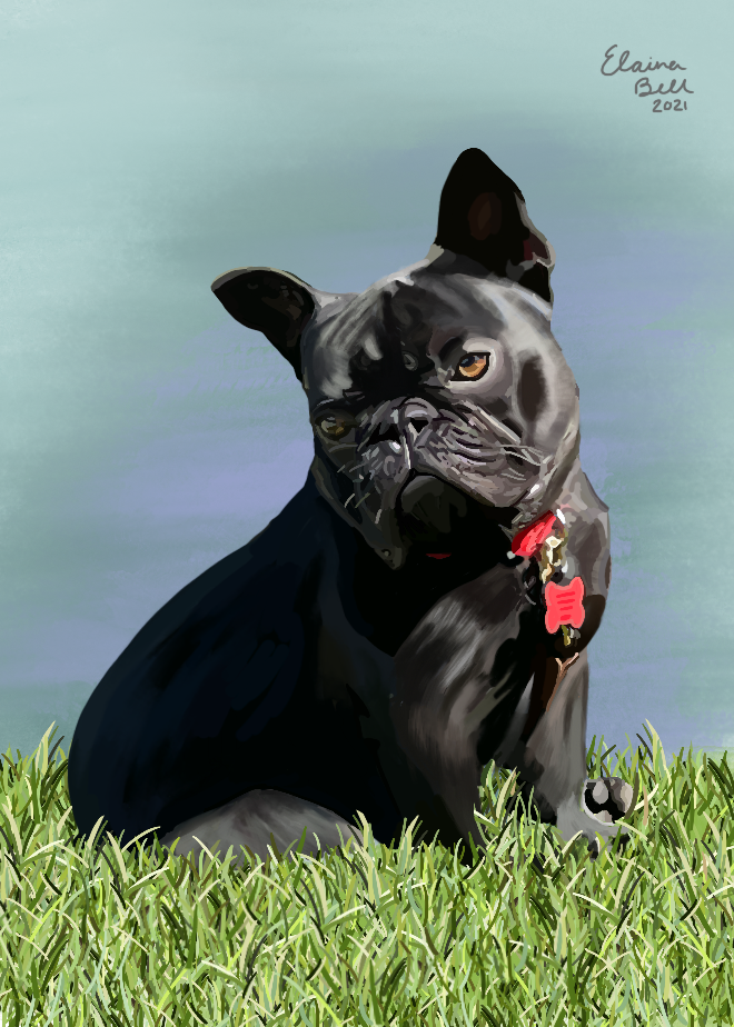 Custom Portrait